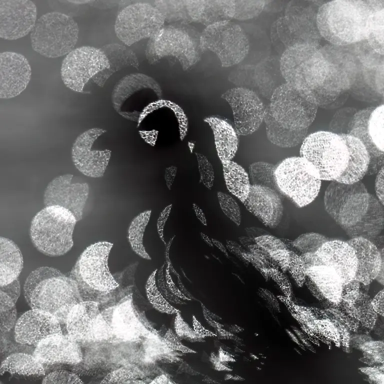 LowRes-RU-BWPA-2026-Silhouetted Puffin